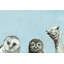 Wrapped Canvas Painting-34960218