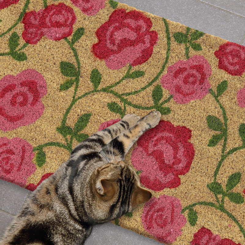 Non-Slip Doormat