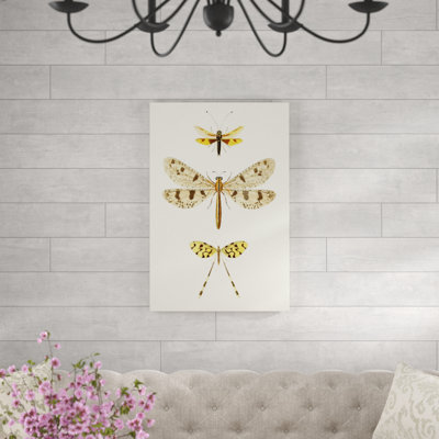 Entomology Series I by Blanchard - Painting on Canvas
