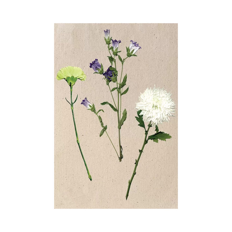 Pretty Pressed Flowers I by Melissa Wang - Wrapped Canvas Painting, 30.48cm H x 20.32cm W x 1.91cm D