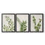 Botanical Wash I - Toile tendue avec châssis sur mesure - 3 pièces-1435341912-1435341894