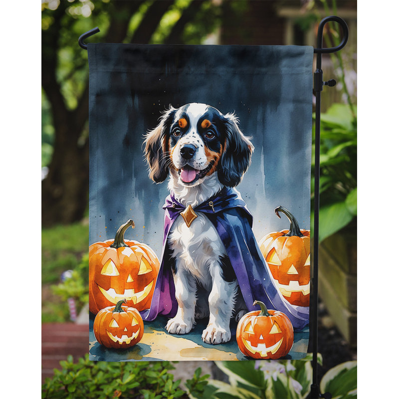 Drapeau de jardin chiot Halloween, Épagneul Welsh Springer