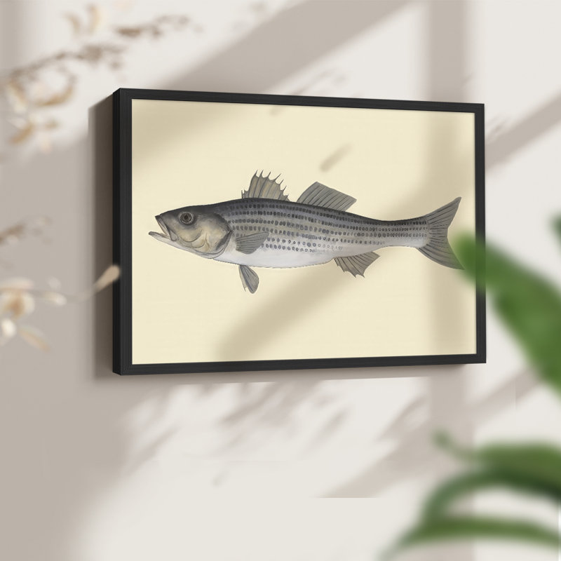 Espèces d'eau salée I - reproduction encadrée - réaménageable, H 8 po x l 10 po, Noir, noir, noir, noir