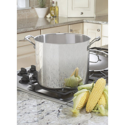 Cuisinart Chef's Classic Stainless Stockpot with Cover