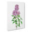 Persian Lilac Flowers by Pierre-Joseph Redoute - Wrapped Canvas Graphic Art Print-55366658