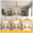 Abdul-Samee 42'' Ceiling Fan with LED Lights