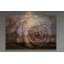 «Sleeping Rose» par Parvez Taj - reproduction d'art non encadrée-86830578