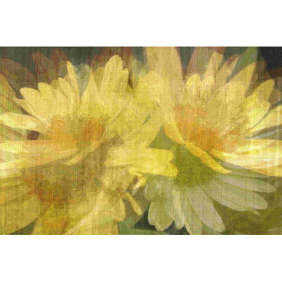 Daisy Daisy I