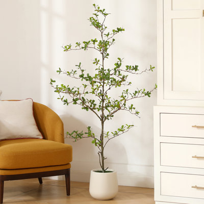 Artificial Black Olive Tree in White Pot, Tall Faux Shady Lady Tree for Indoor Home Decor
