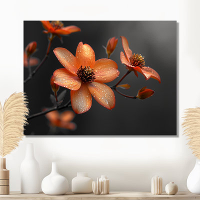 Fleur d'été cornouiller monochrome orange noir II - cornouiller