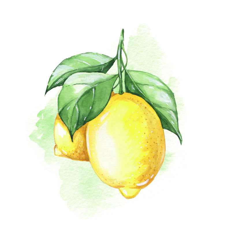 Watercolor Illustration by OGri - Wrapped Canvas Painting, 30cm H x 30cm W