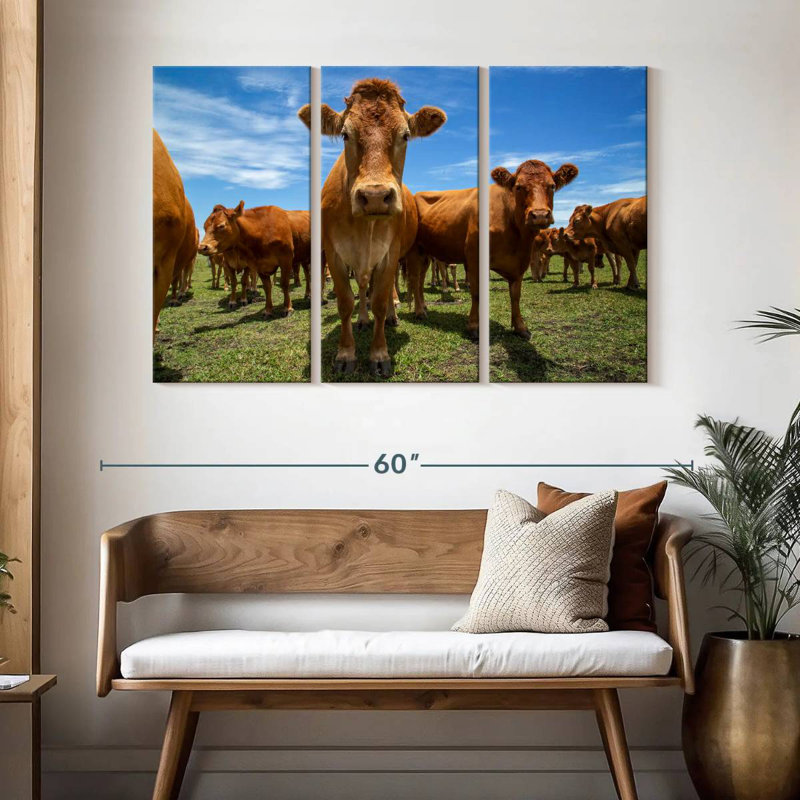 Gathering Beef Cattle