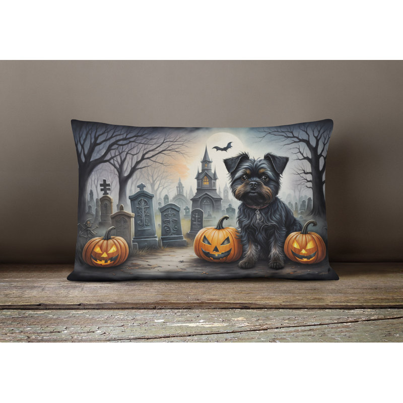 Other/No Pattern Outdoor Throw Pillow