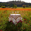 Poppies Handmade Floral Tablecloth-1990598046