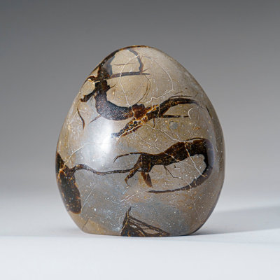 Polished Septarian Freeform From Madagascar (1.9 Lbs)