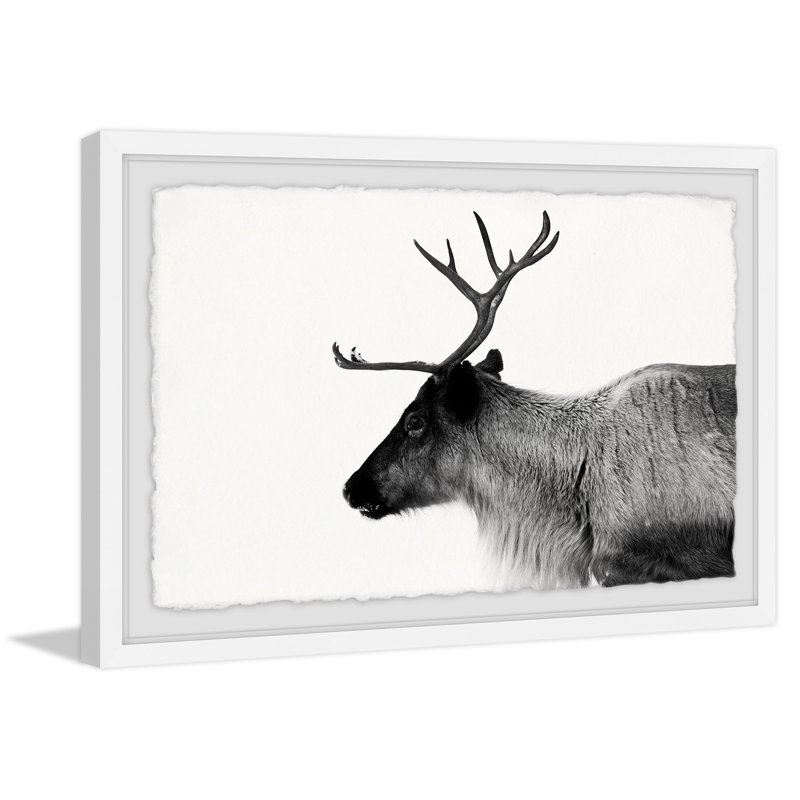 Antler Profile - Single Picture Frame Print, 20cm H x 30cm W x 4cm D