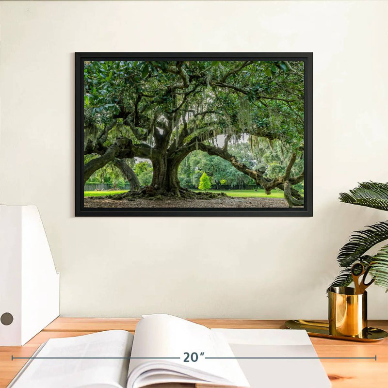 Chêne Audubon Park, 13 po x 9 po, Cadre flottant noir