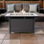 Madilene 25'' H X 23'' W Outdoor Propane Fire Pit Table 50,000 BTUs with Lava Rocks & Lid