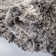 Cockrell Machine Made Power Loom Polypropylene Area Rug in Grey/Dark Grey