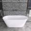 63'' x 29'' Freestanding Soaking Acrylic Bathtub