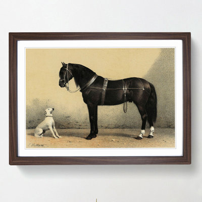 Horse and Hound by Emil Volkers - Framed Print
