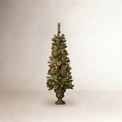 Hardesty Potted 4' Pre-Lit Spruce Tree