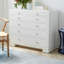 Frances Accent Chest-33345545