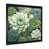 Black Picture Framed
