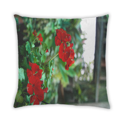Coussin Plants Flower 149