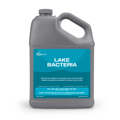 Lake Beneficial Bacteria Water Treatment