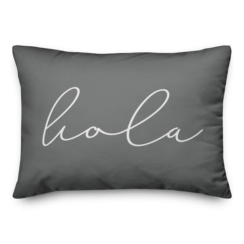  Hola Thin Indoor/Outdoor Pillow Cover & Insert, Dark Gray/White