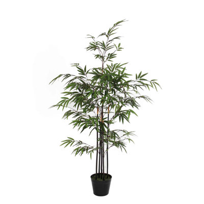 120cm Bamboo Tree in Pot