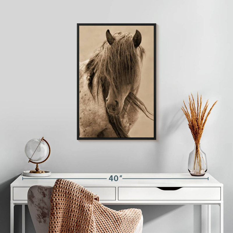 Cheval de la liberté, Cadre flottant noir, 17 po x 25 po