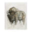 Buffalo Western American Brown Country Animal-1892900139-1892900150