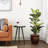 Golden Dieffenbachia Silk Plant with Decorative Planter