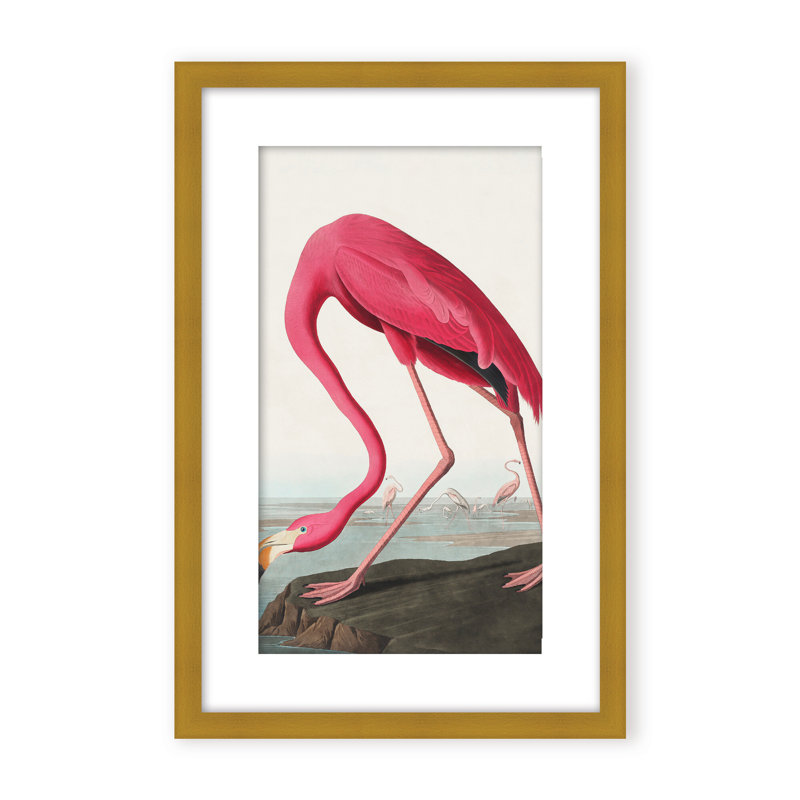 Coastal Retreat Pink Flamingo II From Birds Of America (1827), 48" H x 36" W x 1.125" D, Framed Print, Gold
