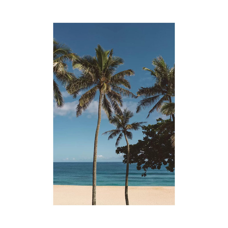 Hawaiian Palms VI by Bethany Young - Print on Canvas, 30.48cm H x 20.32cm W x 1.91cm D, Wrapped Canvas