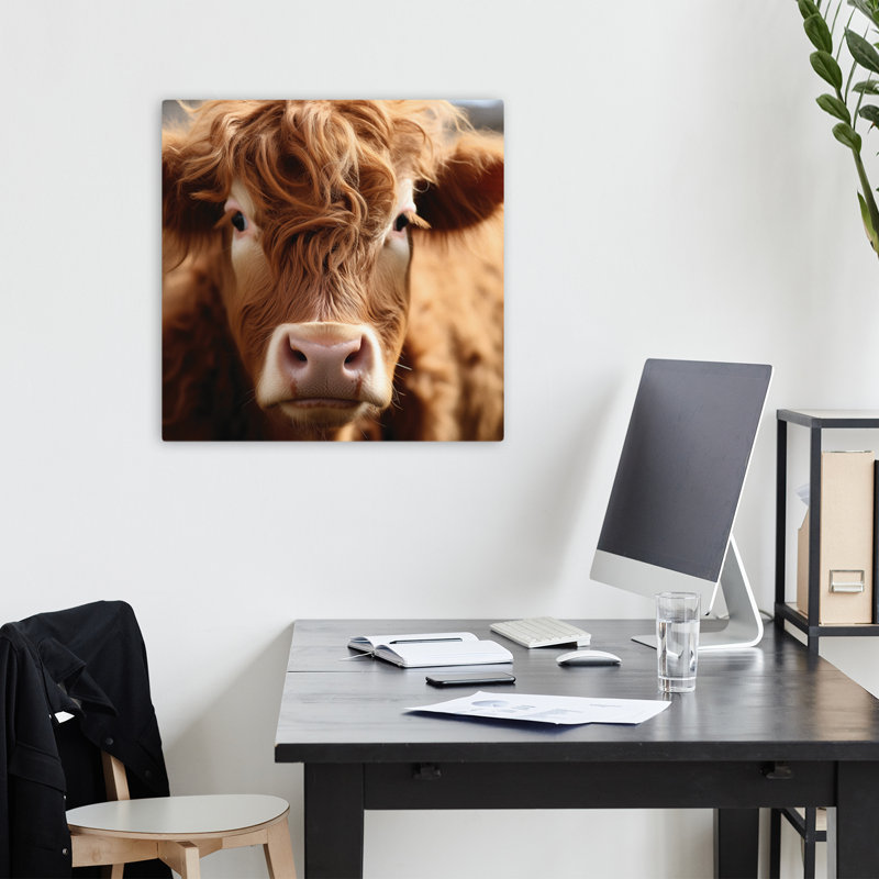 Highland Close Up, art contemporain naturel, H 18 po x l 18 po