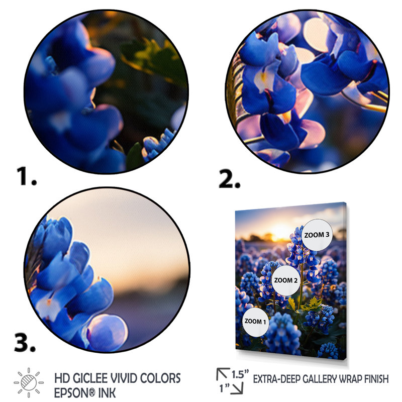 Bluebonnets Flower Blissful II - impression, H 20 po x l 12 po x P 1 po, Cadre photo blanc