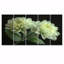 «Green Monicolom Mums Flowers Bouquet» - ensemble d'art mural de mamans-1806109781
