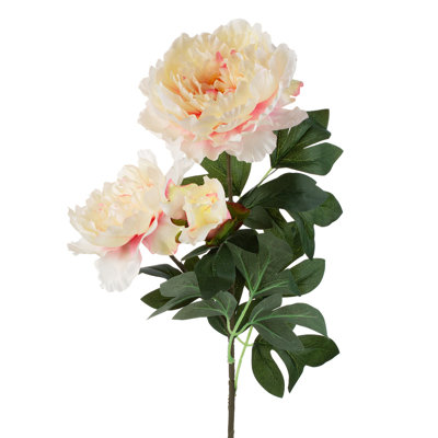 Tige de pivoine 28 po