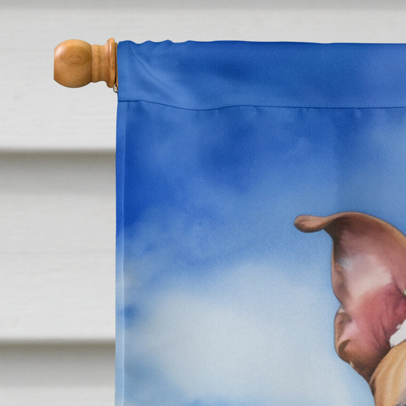Drapeau de Pâques à œufs H 40 po x l 28 po