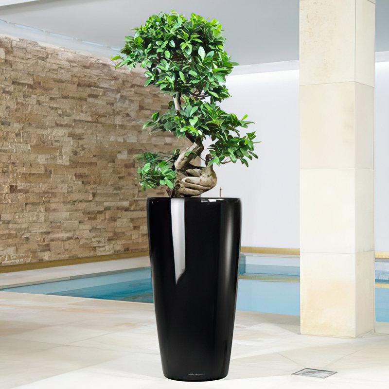 Rondo Pot Planter, Black, 56 cm H x 32 cm W x 32 cm D
