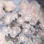 Genuine Polished Flower Agate (Medium) Heart from Madagascar
