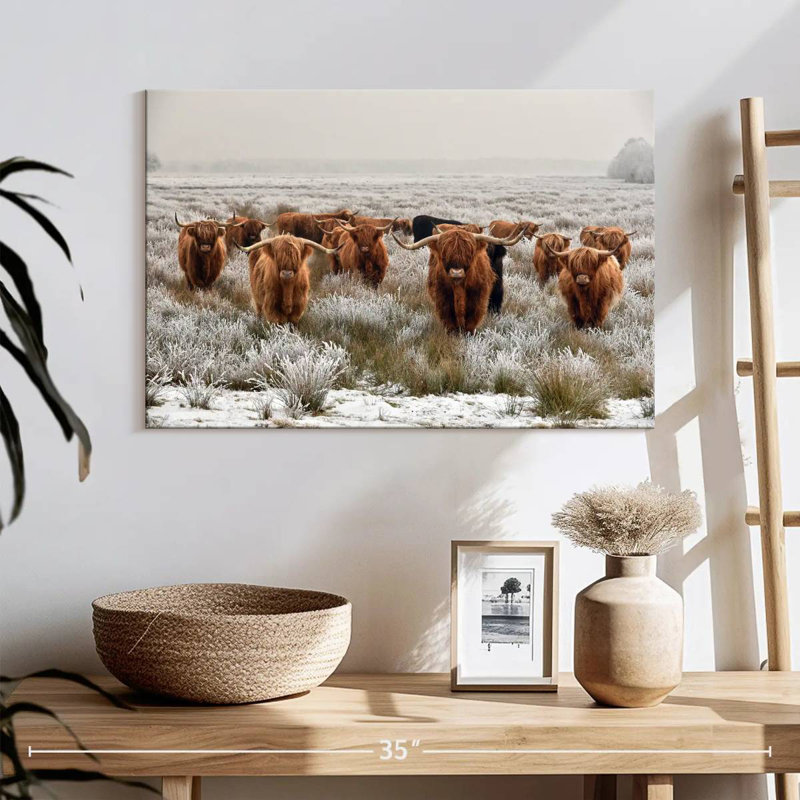 Winter Highland Cows, H 16 po x l 24 po