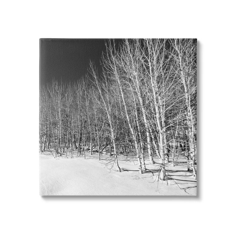 «Mysterious Snowy Forest Looming Nighttime» par Steve Smith - photographie sans cadre sur toile, H 17 po x l 17 po x P 1,5 po