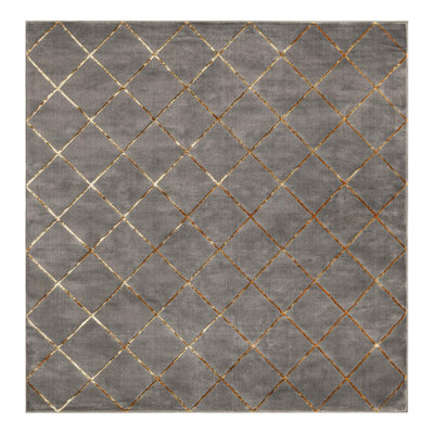 Latitude Run® Checks Novica Rug Gray and Gold