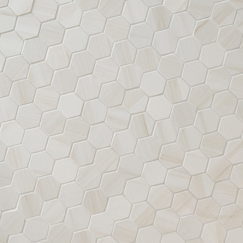 Carreau de mosaïque de plancher et de mur en porcelaine mate 12 po x 12 po Ardena, Pallora