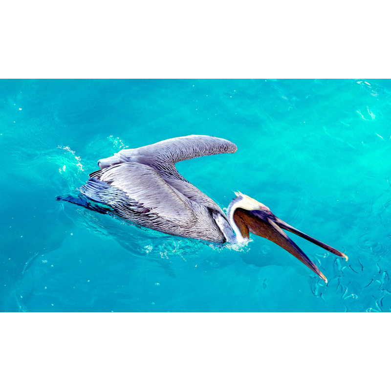 Mccutchen Pelican sushi - impression sur toile tendue, H 16 po x l 24 po x 1,5 po