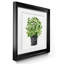 «Herb Garden I», ensemble de 2 reproductions d'art-118507599-118507610-118507601